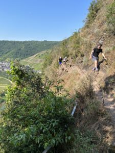IMG_2200